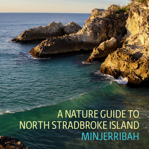 A Nature Guide to North Stradbroke Island-Minjerribah